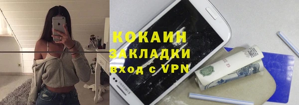 тгк Арсеньев